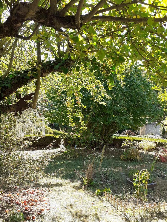 Ferienwohnung La Grange Aux Oiseaux Arnaville Exterior foto